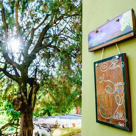 Country house Acasamia
